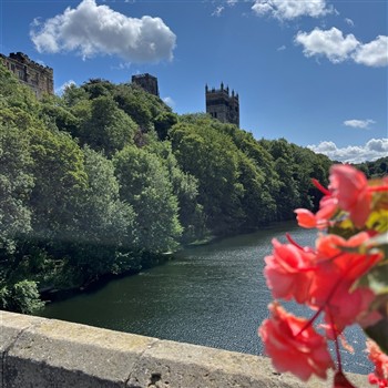 Northumbrian Highlights 
