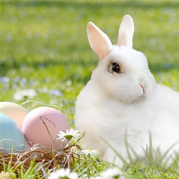 Easter in County Durham 
